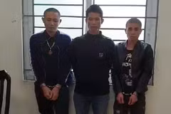 Drug trafficking ring from Son La to Hanoi intercepted
