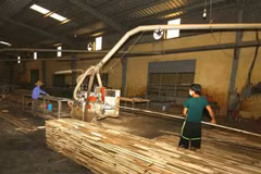 Wood processing firms should embrace technologies: experts 