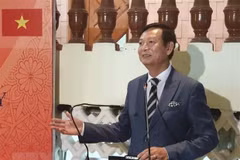 Vietnamese Embassy in Egypt celebrates ASEAN’s anniversary