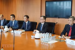 Vietnam supports green energy development: official