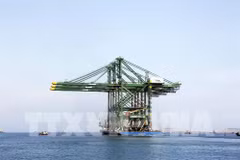 Three made-in-Vietnam giant cranes shipped to India