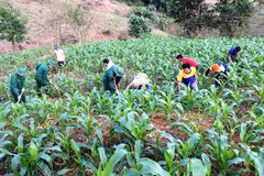 US-funded sub-project aims to protect eco-diversity in Thua Thien-Hue 