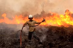 Many forest fire hotspots discovered in Indonesia 