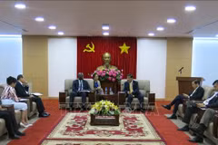 WB, Binh Duong discuss infrastructure cooperation 