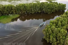 Forum promotes green tourism in Vietnam