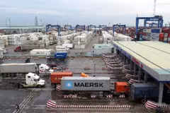 HCM City could become logistics workforce training hub: experts
