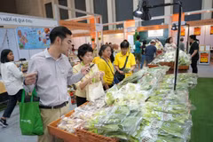 ASEAN to build common standards for organic products 