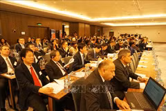 Vietnam attends int’l public sector conference in Czech 