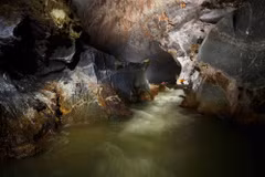 Thai cave rescuers to dive into world’s largest cave