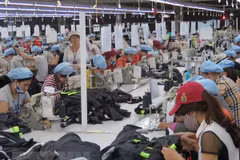 CPTPP – latest demonstration of trade liberalisation in Asia-Pacific