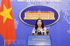 Vietnam values comprehensive partnership with US: spokesperson