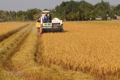 Universities, firms join hands in training high-quality agriculture workforce