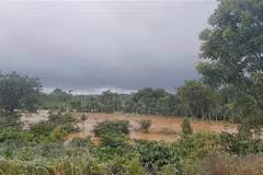 Heavy rains cause 5 deaths in Dak Nong province 
