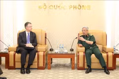 Vietnam, US step up defence ties 