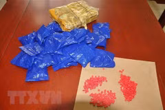 Thanh Hoa province: police bust two drug rings 