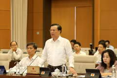 Decree on customs procedures for goods in transit needed: lawmakers