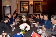 Vietnam, New Zealand seek to boost comprehensive partnership 