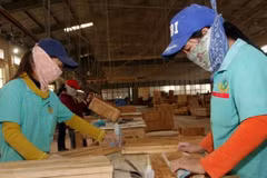 Vietnamese SMEs shown how to enter global supply chains