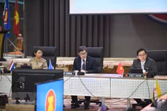 Vietnam ready for ASEAN Chairmanship Year 2020: ambassador 