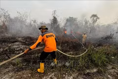 Indonesia: Over 39,000 people affected by haze smoke 