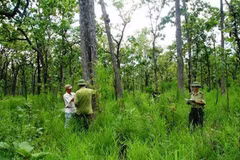 State-owned agriculture, forestry farm land needs stricter control
