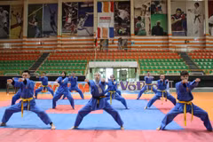 Egypt hosts Viet Vo Dao – Vovinam Championship
