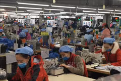 Project seeks to promote green garment-textiles industry
