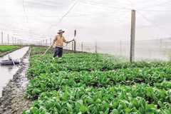 Seminar discusses ways to add value to farm produce