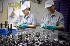 Vietnamese firms lack capacity to join global supply chains