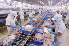 EVFTA: Businesses advised to improve product quality