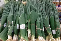 Singaporean media wowed by Vietnamese supermarkets’ green move