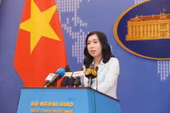 Spokeswoman makes clear Vietnam’s views on trade fraud, sea-related issues