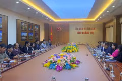 Singaporean firm interested in Quang Tri Airport project