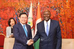 Vietnam, Ivory Coast hold huge cooperation potential: Deputy PM