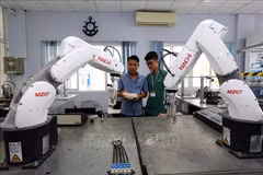 Vietnam, example for successful development 