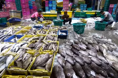 US suspends duty-free treatment of Thai products