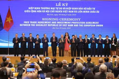 EVFTA to hasten movement of manufacturers to Vietnam: analysts