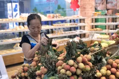 Saigon Co.op takes northern lychees around the country