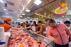 No shortages of fresh food are expected for Tet holiday