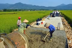 Dong Thap mobilises 9 million USD to develop border communes