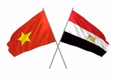 Vietnam, Egypt look to strengthen trade, investment connectivity