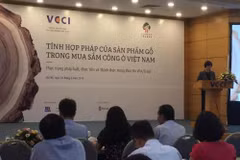 Conference discusses ensuring legal timber in public procurement 