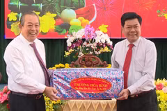 Deputy PM pays Tet visit to Long An province