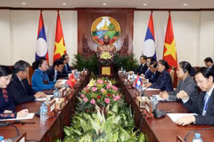 Vietnamese, Lao top legislators hold talks