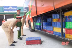 5 tonnes of wild animals found on bus in Ha Tinh 