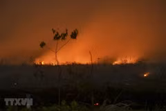 Haze from forest fires in Indonesia speads to neighbouring countries