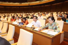 NA adopts resolution on 2017 State budget balance