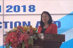 Int’l Day for Disaster Risk Reduction marked in Thanh Hoa