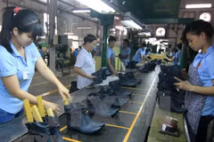 ADB raises growth forecasts for Vietnam in 2019 and 2020