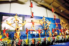 Vietnam competes at “yoga on a pole” world championships 